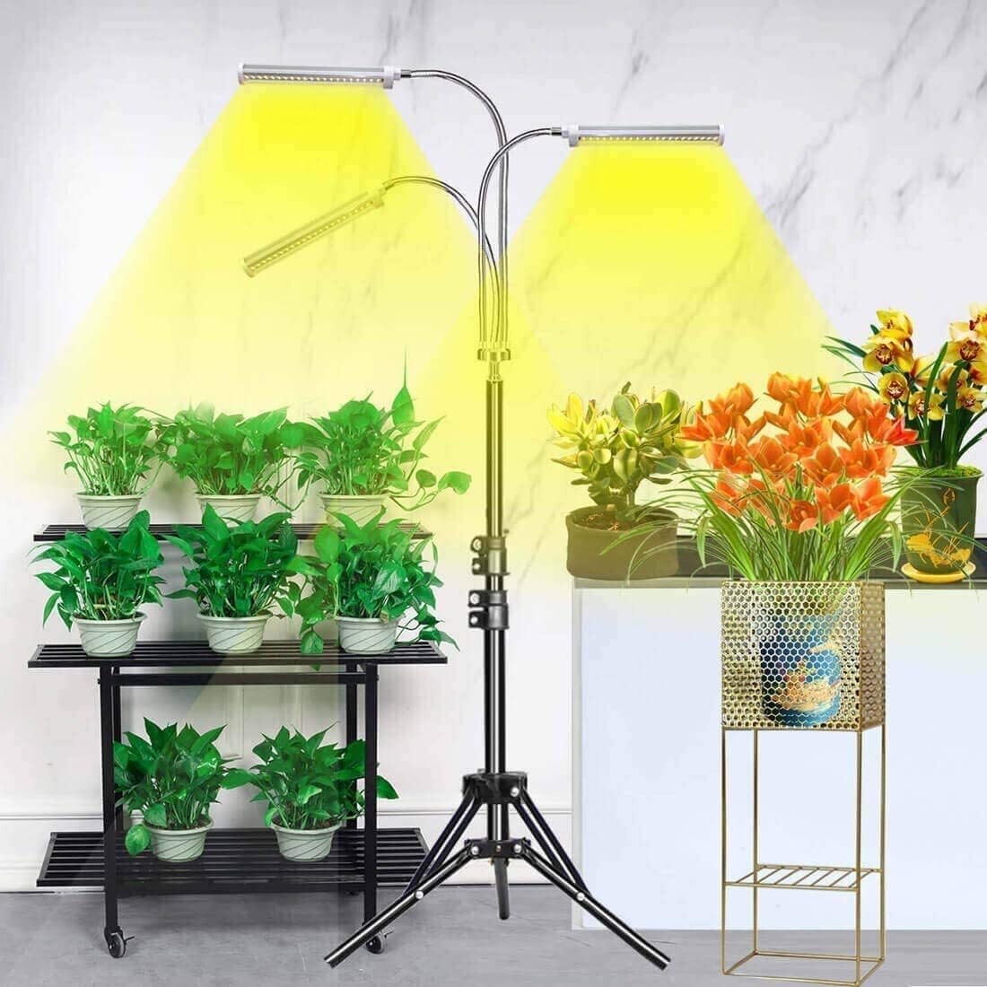 Freestanding LED Triple Head Full Spectrum Indoor Plant Grow Lights ... Freestanding LED Triple Head Full Spectrum Indoor Plant Grow Lights ...