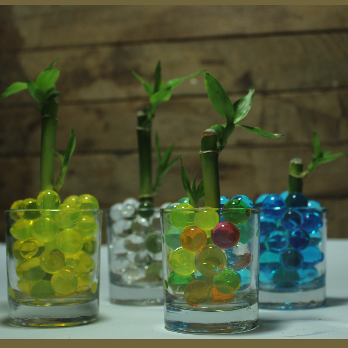 10 Sukulen Berbentuk Unik, Bikin Koleksi Tanamanmu Menarik! 10 Sukulen Berbentuk Unik, Bikin Koleksi Tanamanmu Menarik!