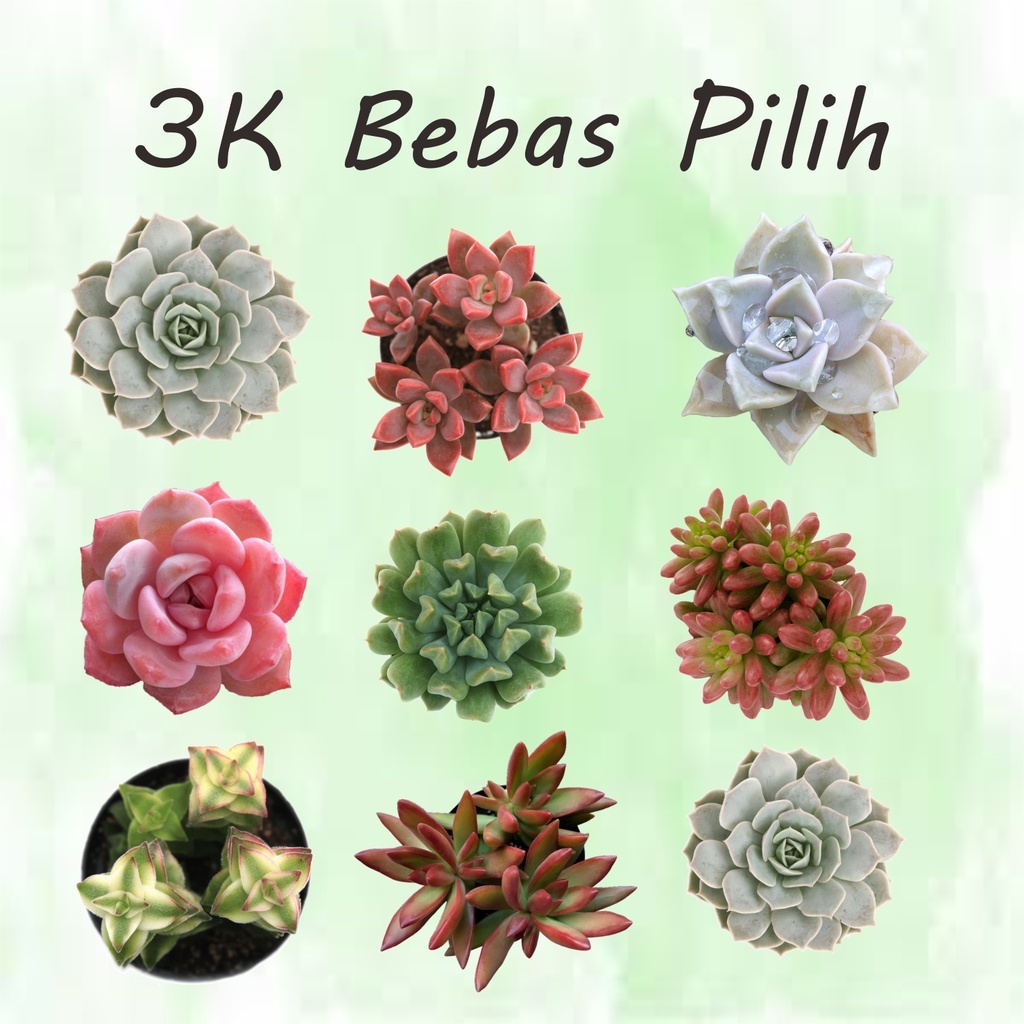 Sebab Kekurangan Air Dalam.badan - RoninaxVaughn Sebab Kekurangan Air Dalam.badan - RoninaxVaughn